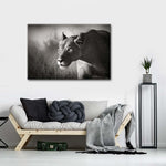 Stalking Lioness Wall Art