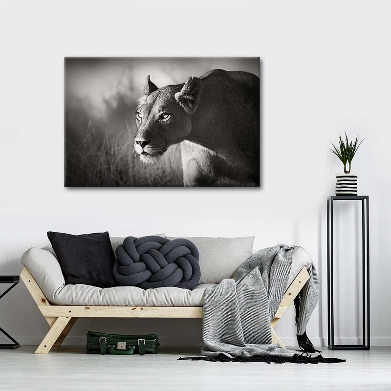 Stalking Lioness Wall Art