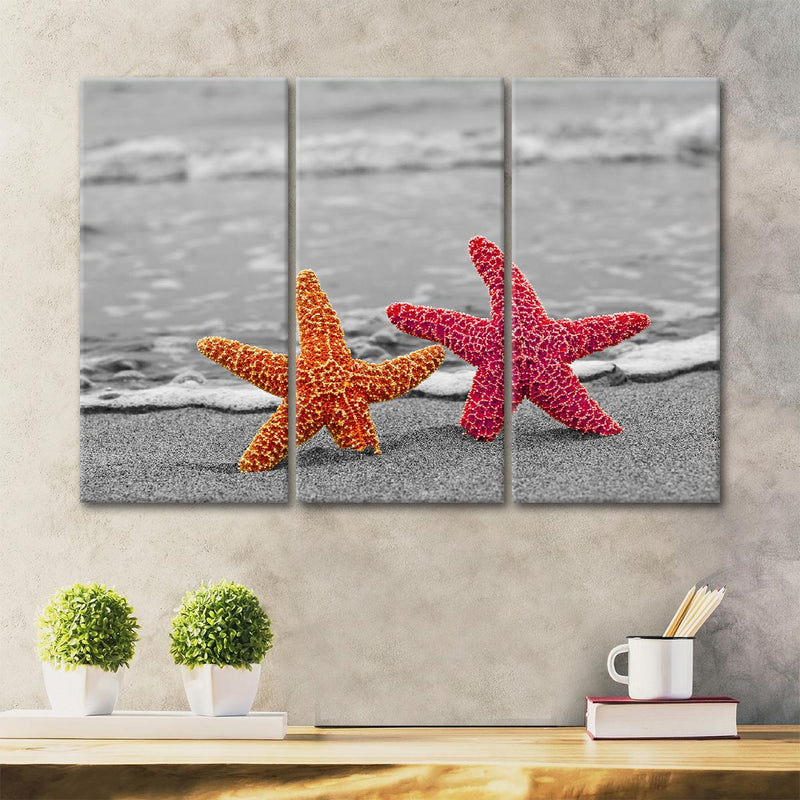 Nautical Starfish Duo Wall Art