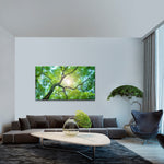 Tree Canopy Sunshine Wall Art
