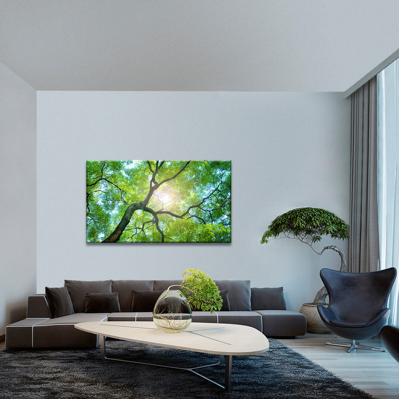 Tree Canopy Sunshine Wall Art