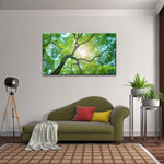 Tree Canopy Sunshine Wall Art