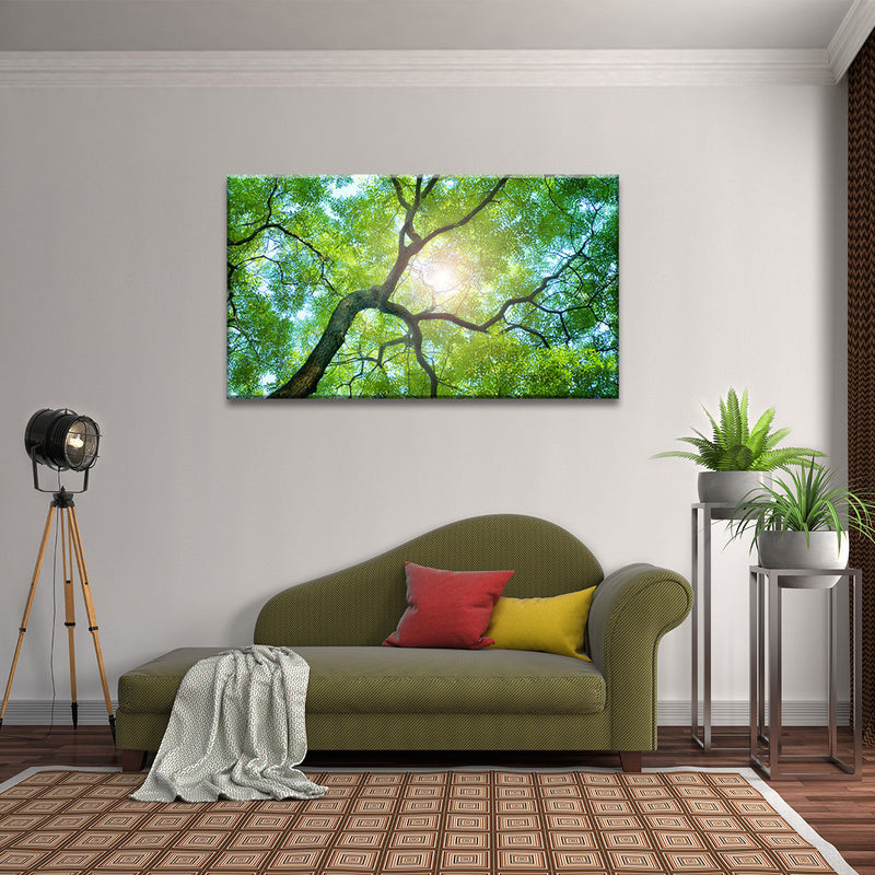 Tree Canopy Sunshine Wall Art
