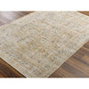 Becki Owens x Surya Distressed Brown Margaret Rug