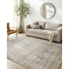 Becki Owens x Surya Marlene Sage/Brown Rug