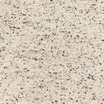 La Palma Marled Charcoal Hand-Knotted Rug