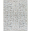 Olympic Gray Rug