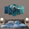 Swimming Elephant Wall Art