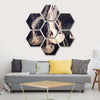 Light Of Jellyfish Wall Art