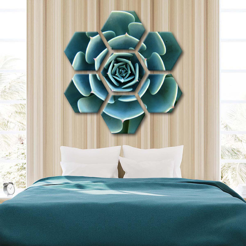 Live Succulent Wall Art