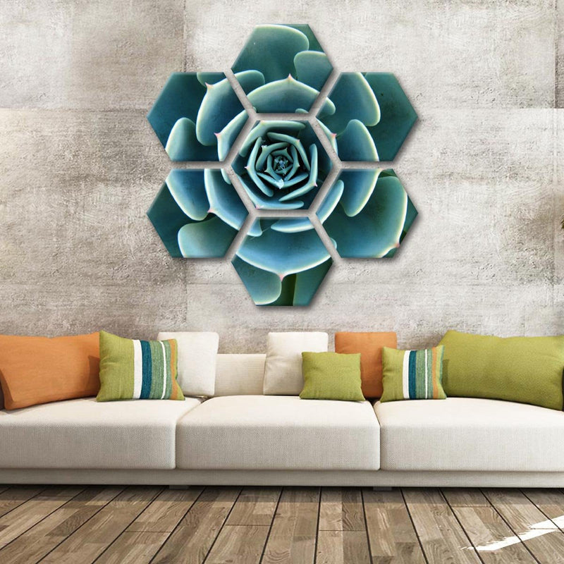 Live Succulent Wall Art