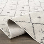 Tigrit 2336 Trellis Area Rug
