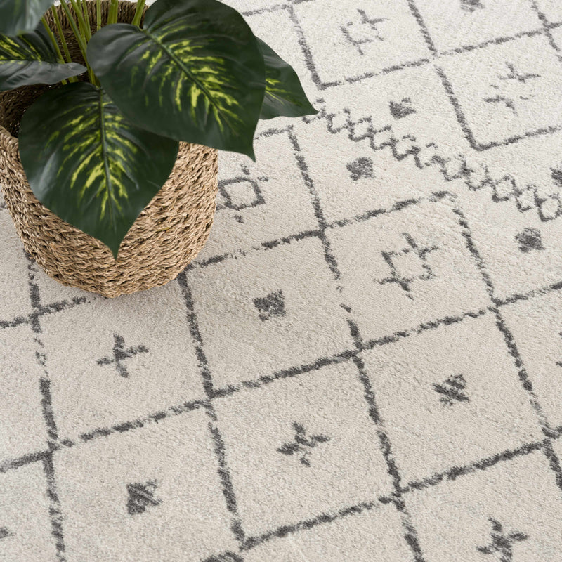 Tigrit 2336 Trellis Area Rug