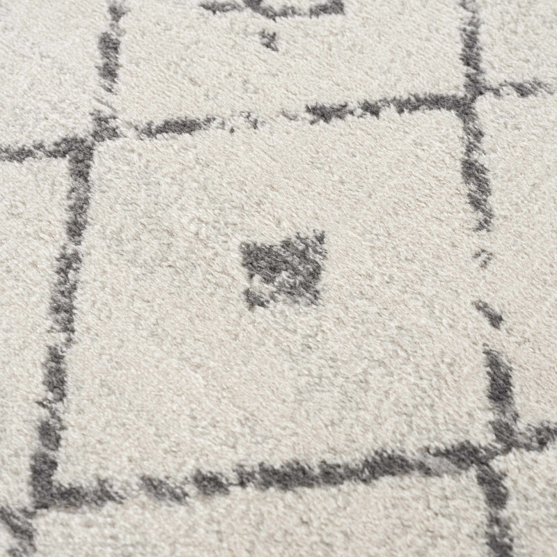 Tigrit 2336 Trellis Area Rug