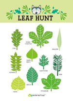 Forest Trail Kit