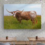 Texas Longhorn Cattle Canvas Wall Art II