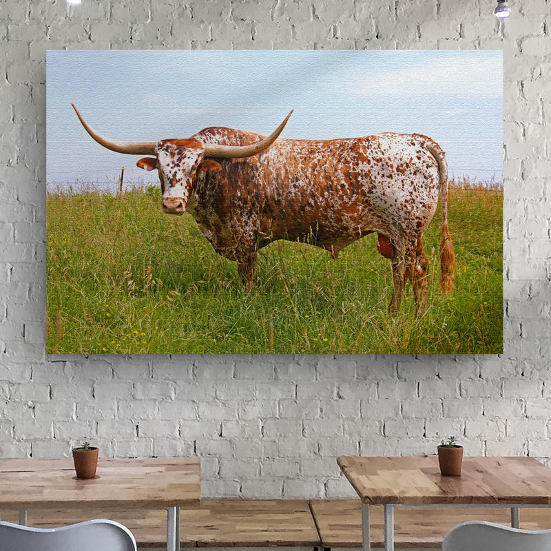 Texas Longhorn Cattle Canvas Wall Art II