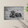 Black And White Longhorn Bull Canvas Wall Art