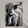 Black And White Highland Cow Portrait Canvas Wall Art