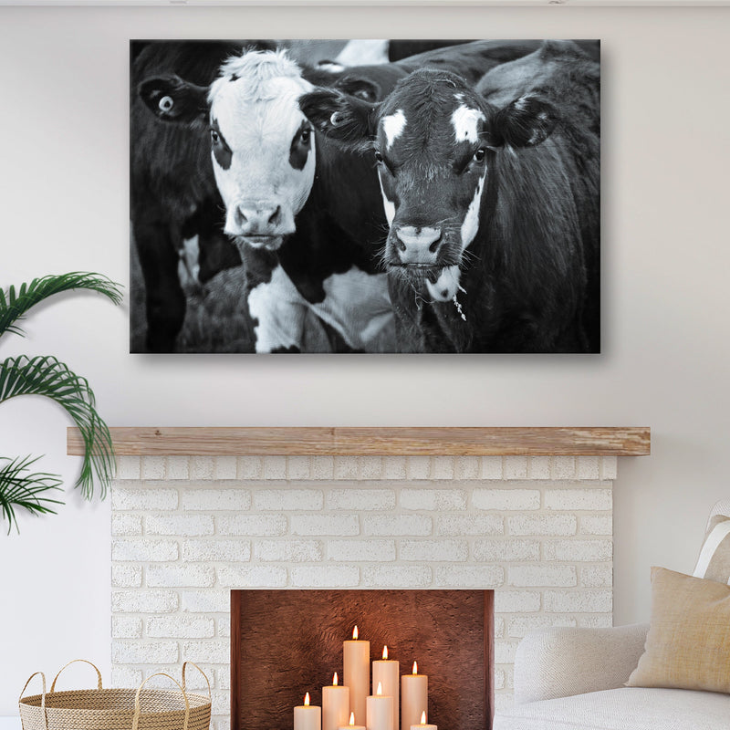 Black And White Cows Canvas Wall Art
