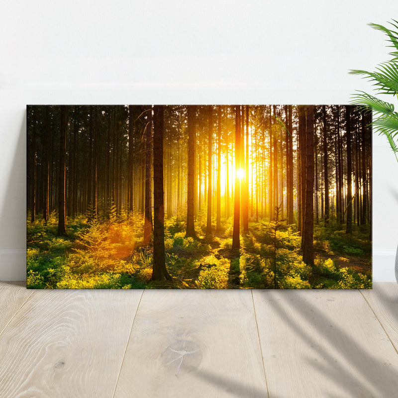 Silent Woods At Sunrise Canvas Wall Art