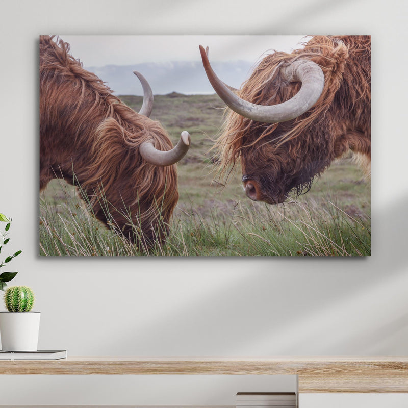 Farmhouse Highland Cow Canvas Wall Art