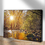 Sunlit River Woods Canvas Wall Art