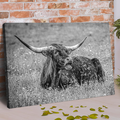 Black And White Longhorn Bull Canvas Wall Art