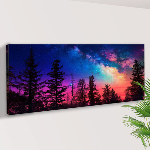 Milky Way At Night Canvas Wall Art