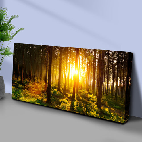 Silent Woods At Sunrise Canvas Wall Art