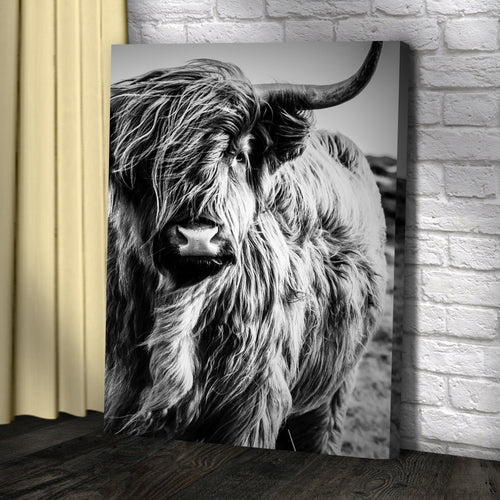 Black And White Highland Cow Portrait Canvas Wall Art
