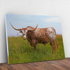 Texas Longhorn Cattle Canvas Wall Art II