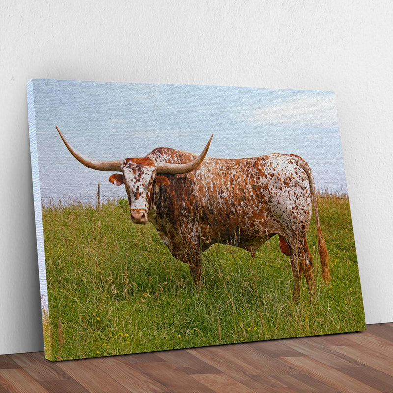 Texas Longhorn Cattle Canvas Wall Art II