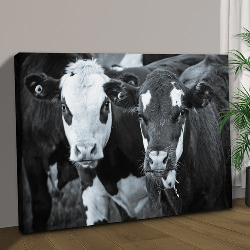 Black And White Cows Canvas Wall Art