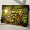 Angel Oak Tree Canvas Wall Art