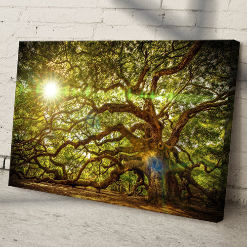 Angel Oak Tree Canvas Wall Art