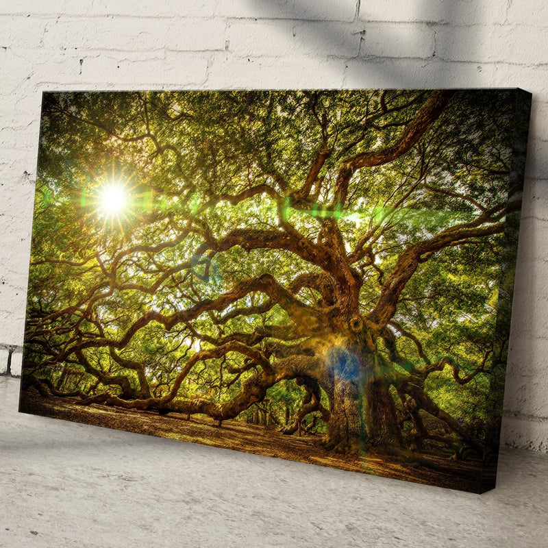 Angel Oak Tree Canvas Wall Art