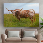 Texas Longhorn Cattle Canvas Wall Art II