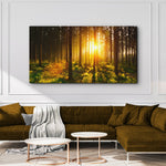 Silent Woods At Sunrise Canvas Wall Art