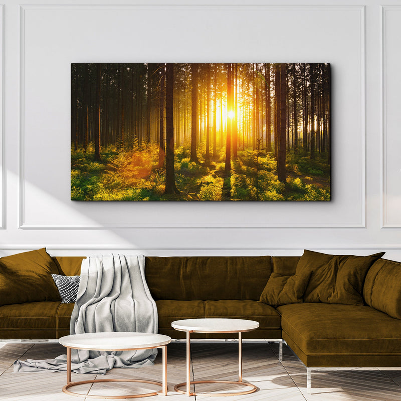 Silent Woods At Sunrise Canvas Wall Art