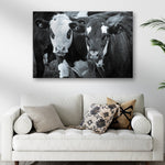 Black And White Cows Canvas Wall Art