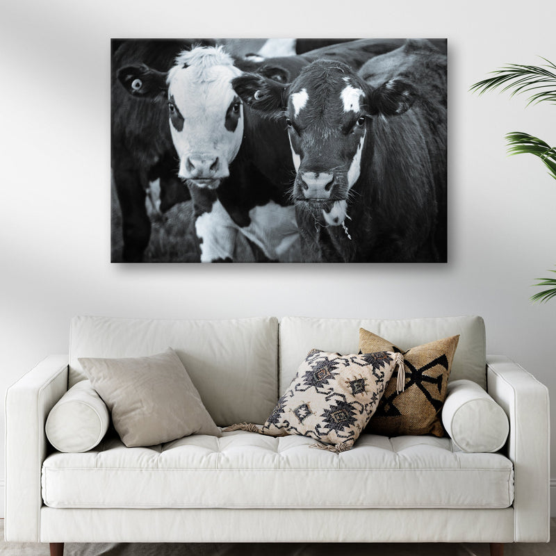 Black And White Cows Canvas Wall Art