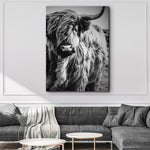 Black And White Highland Cow Portrait Canvas Wall Art