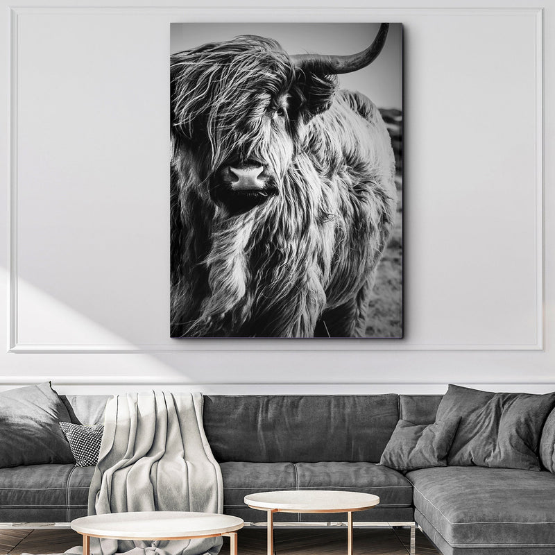 Black And White Highland Cow Portrait Canvas Wall Art