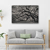 Monochrome Angel Oak Tree Canvas Wall Art
