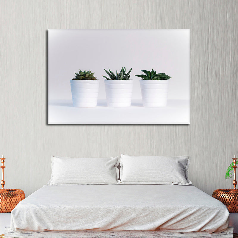 Three Succulents Wall Art