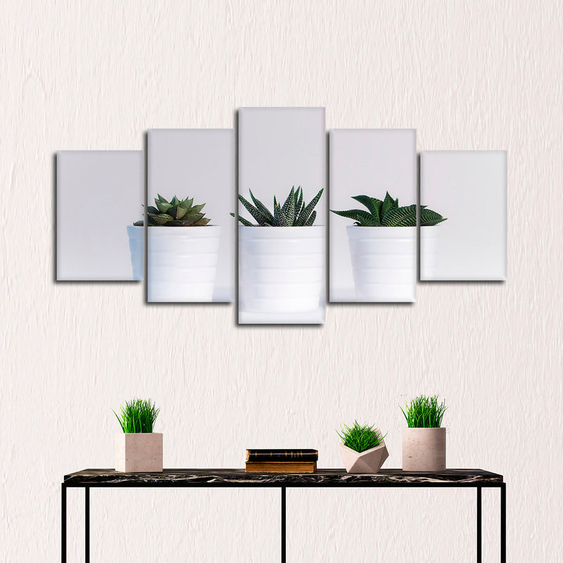 Three Succulents Wall Art