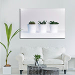 Three Succulents Wall Art