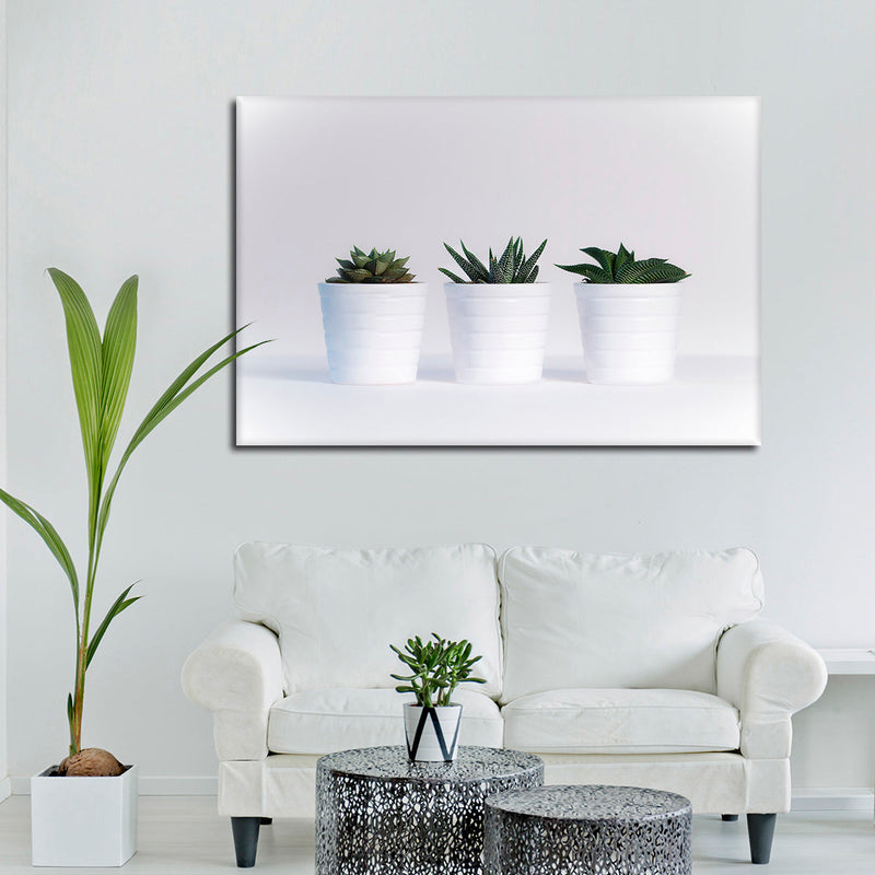 Three Succulents Wall Art