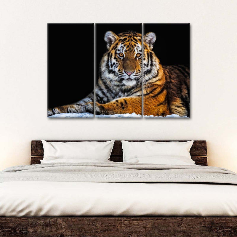 Tiger Snapshot Wall Art